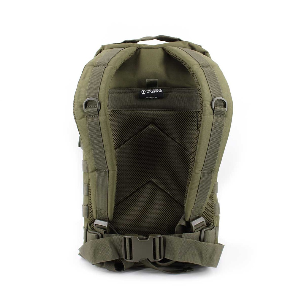 MOCHILA IMMORTAL MOLLE 20 L VERDE