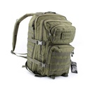 MOCHILA IMMORTAL MOLLE 36L. VERDE